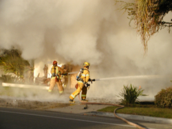 Click for Larger Pic