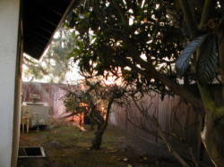 Click for Larger Pic