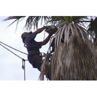 Click for larger image.