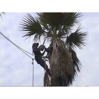 Click for larger image.