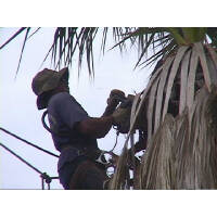 Click for larger image.